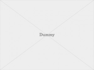 dummy_img001